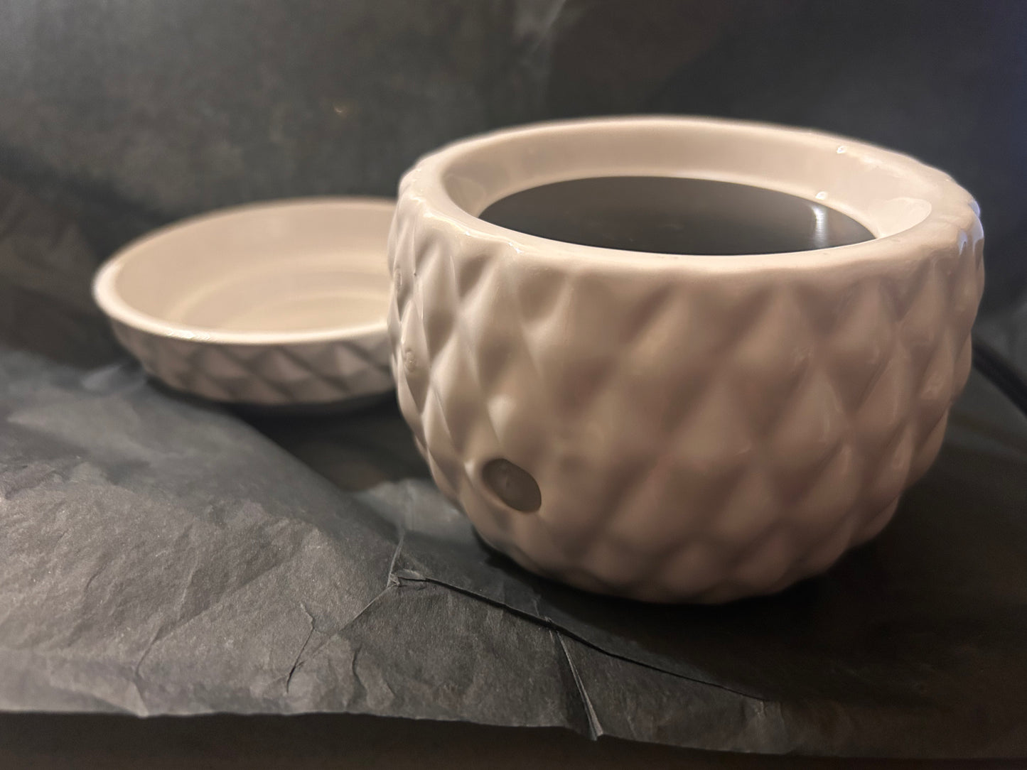 2 In 1 Wax Warmer